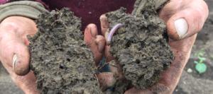 Healthy Soils Practices