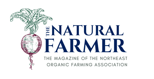 TNF MAGAZINE LOGO