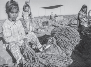 Farmworkers Children